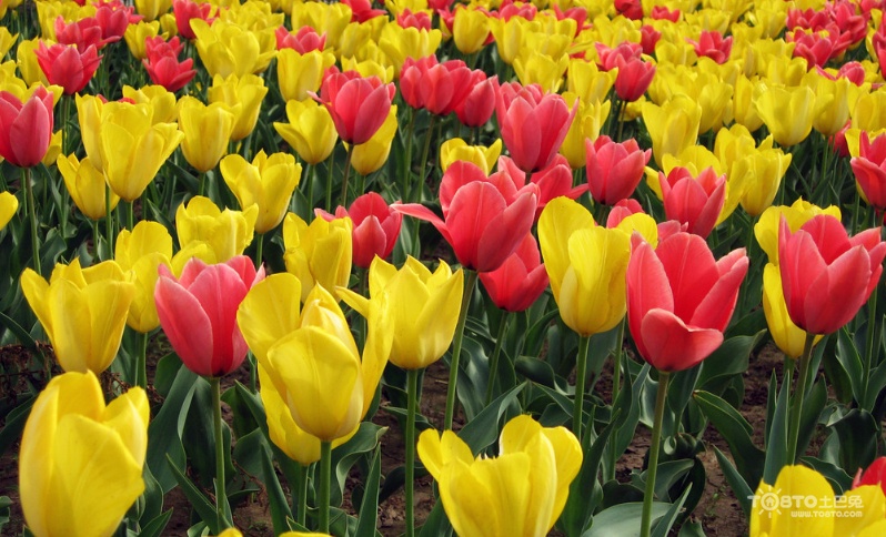 20160115151604456 20160115151604456