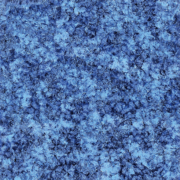 20160220145320576 ¾ÅÖÝku¿áÓΡ¤(Öйú¼¯ÍÅ)¹Ù·½ÍøÕ¾