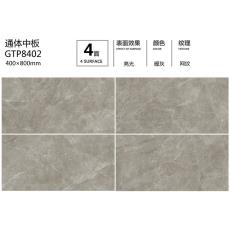 ͨаGTP8402