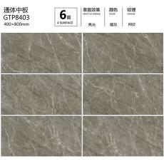 ͨаGTP8403
